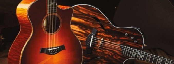 Find the most appropriate guitar for beginners