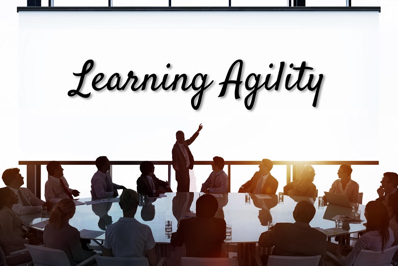 learning agility