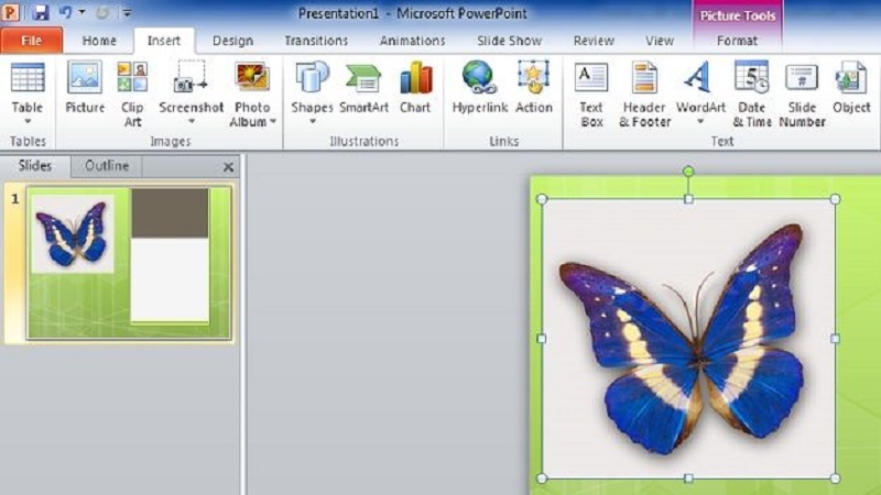 INSERT AND ANIMATE GRAPHICS