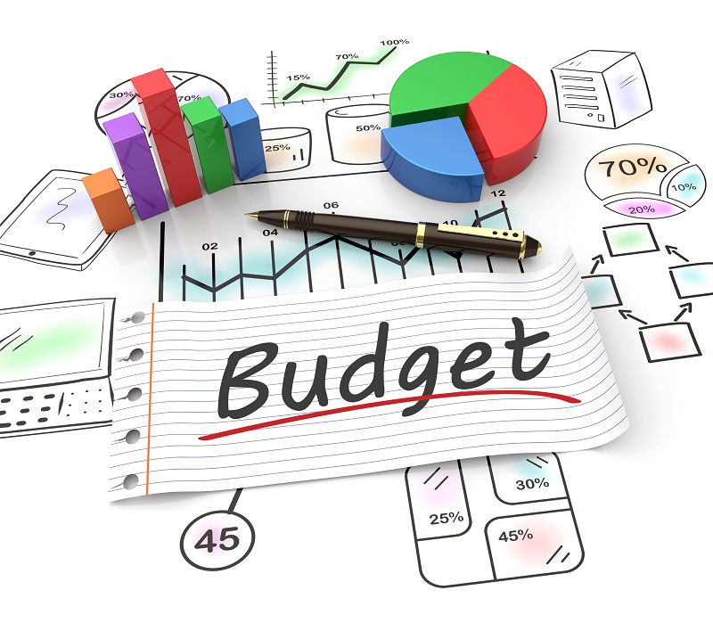 Establish the budget