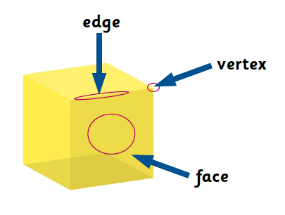 Parts of the cube